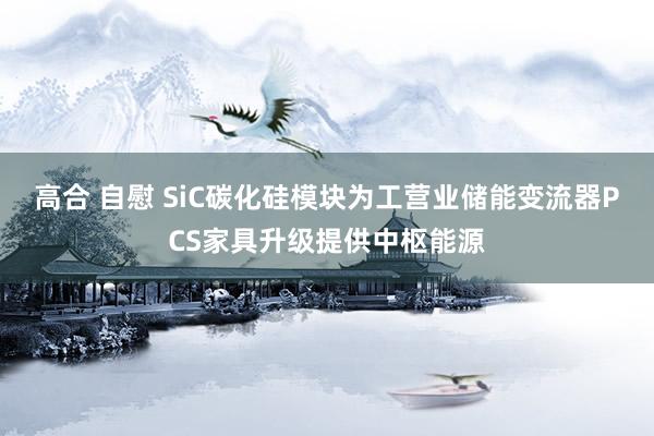 高合 自慰 SiC碳化硅模块为工营业储能变流器PCS家具升级提供中枢能源