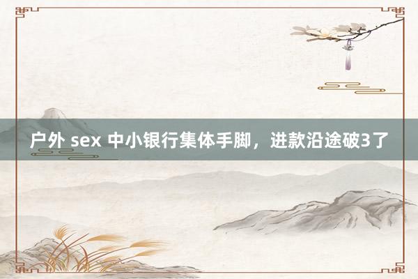 户外 sex 中小银行集体手脚，进款沿途破3了