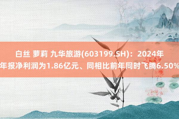白丝 萝莉 九华旅游(603199.SH)：2024年年报净利润为1.86亿元、同相比前年同时飞腾6.50%