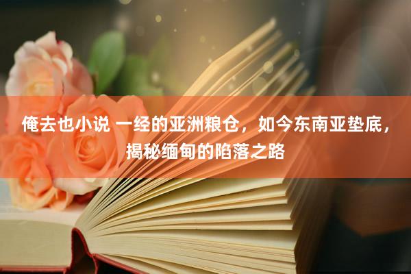 俺去也小说 一经的亚洲粮仓，如今东南亚垫底，揭秘缅甸的陷落之路