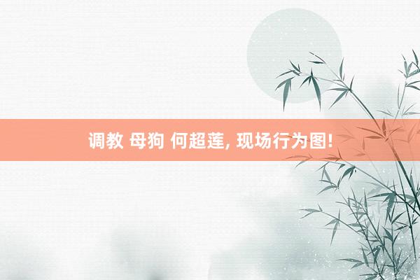 调教 母狗 何超莲， 现场行为图!