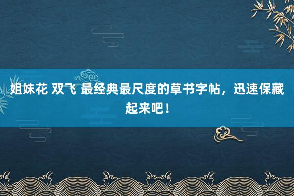 姐妹花 双飞 最经典最尺度的草书字帖，迅速保藏起来吧！